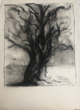 Tree-Drawing-landscape-maine-francine-schrock
