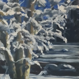 Winter-Briliance-Arundel-Maine-snow-francine-schrock