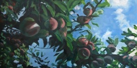 Orchard-Diptych-apples-trees-maine-francine-schrock