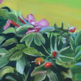 Rose-Hips-Scarborough-maine-coastal-flowers-francine-schrock