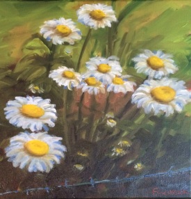 Tennessee-Daisies-flowers-francine-schrock