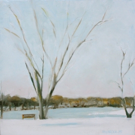 pine-view-lake-2-argentine-michigan-francine-schrock
