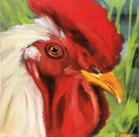 Leghorn-Rooster-chickens-realism-farm-maine-francine-schrock